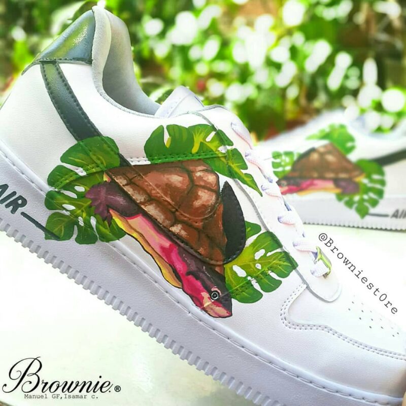 Rhinemys Rufipes Air Force 1 Custom