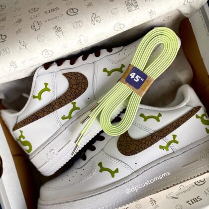 Shrek Air Force 1 Custom