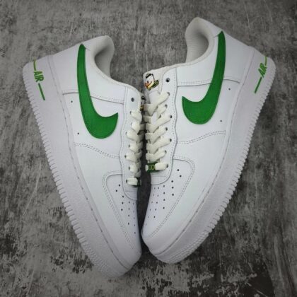 Duck Air Force 1 Custom