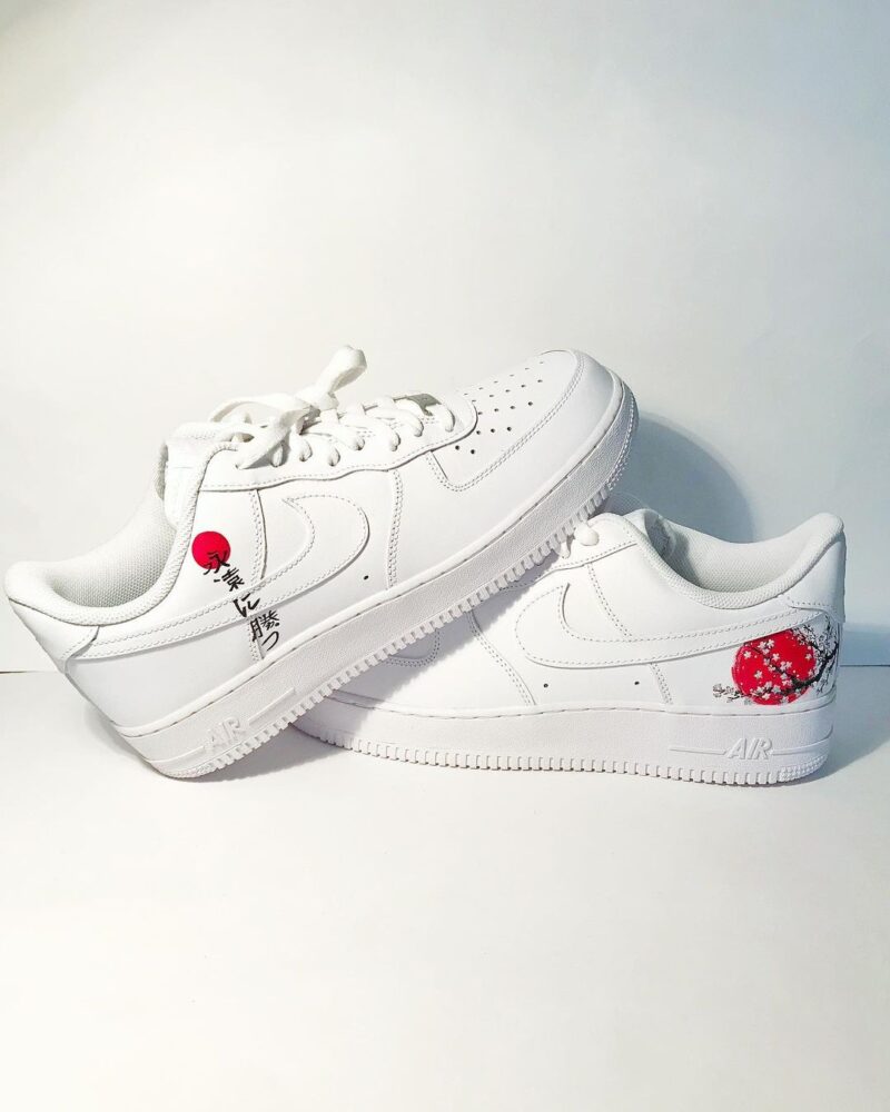 Japan Air Force 1 Custom